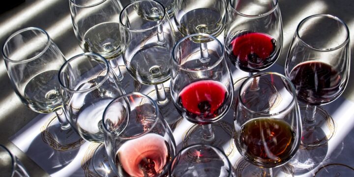 Perfectionnement à la dégustation de vins