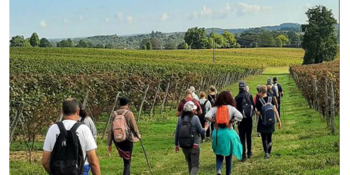 Duo Parents Children Wine Tour Visit