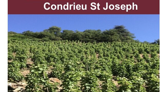 TRILOGIA AOP Côte-Rôtie Condrieu y St Joseph