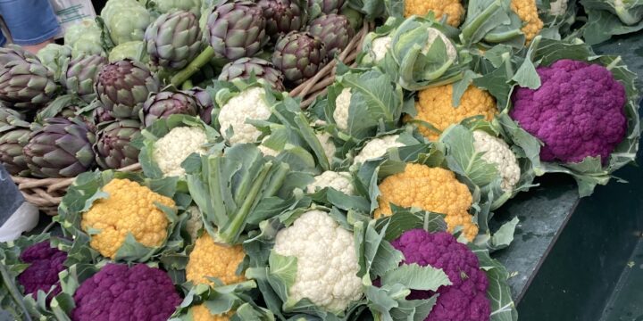 Visite du Marché de Vienne