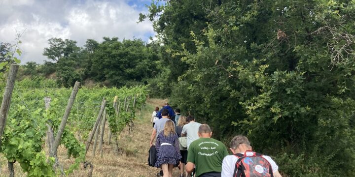 Rando Vin entre Côte-Rôtie et Condrieu Espace Probus Vienne