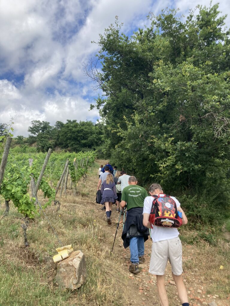 Rando Côte-Rôtie Mr Probus Vienne