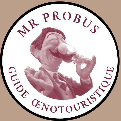 Mr Probus Logo Brun