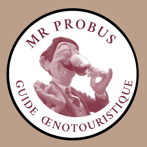 MR Probus Logo 550